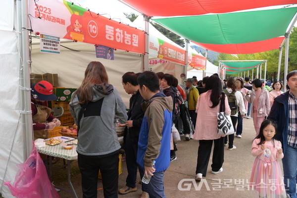 (사진 : 문경시) 2024년 문경사과축제 오는 19일부터 개최