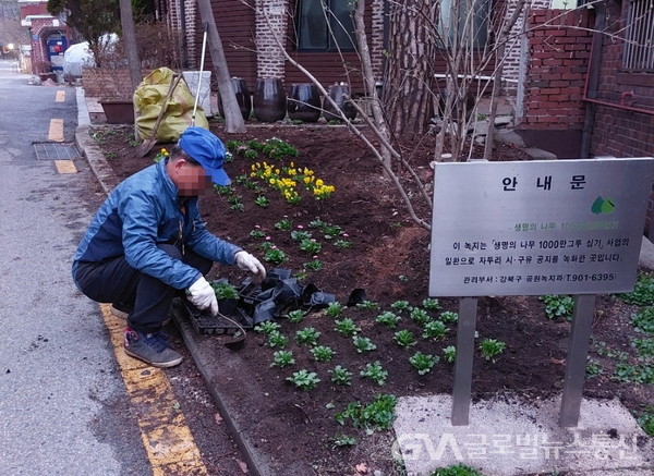 (사진 : 강북구) 강북구 나무돌보미가 화단을 가꾸고 있다.