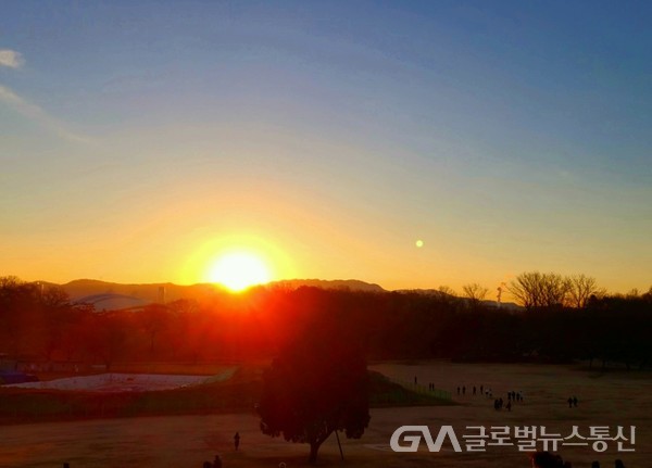  (사진제공 : FKILsc명예위원 이노종박사) 서울도심의 제일 넓은 올림픽공원 몽촌토성 '나홀로나무' 에도 새해 첫날 아침해는 유독 밝게 빛난다