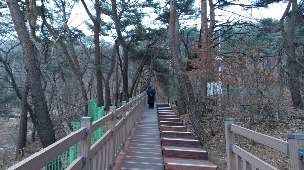 (사진:청풍김씨 김상철 총무) 아름다운 솥밭사이의 무장애 숲길
