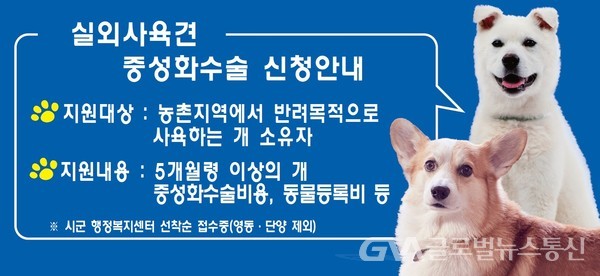 (사진 제공: 충북도청) 농촌지역 실외사육견 중성화수술 지원