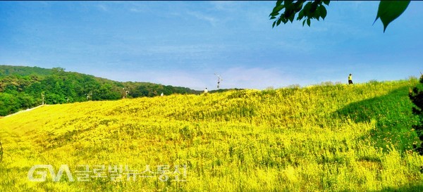 (사진 : 김동일 사진가 제공) 파랑과 노랑 사이 줄 그으며 오가는 점 점 점, 산책객 까지 그림이 된다.