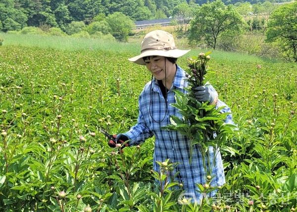 (사진제공:홍천)강원대 미래농업융합학부 농촌봉사활동 (1)