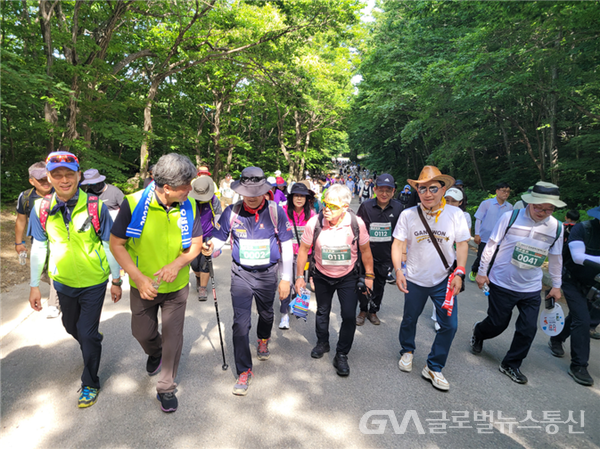 (사진제공:강원도)2023 강원세계산림엑스포 성공기원 D-100일 숲길 걷기대회 개최