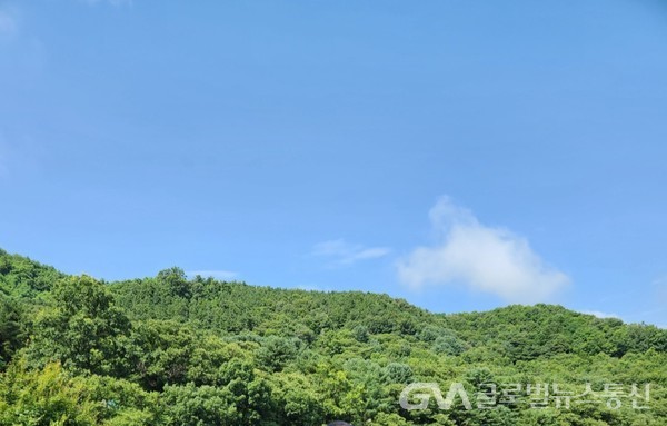 (사진촬영 : 글로벌뉴스통신 송영기 기자) 광릉 수목원 가는 길 비갠 뒤 청산에 흰구름 낮게 떠간다