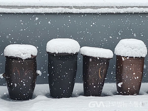 (사진촬영 : 글로벌뉴스통신, 시조시인 송영기 기자) 옥상 장독대에 소복이 눈이 쌓이고 있다.