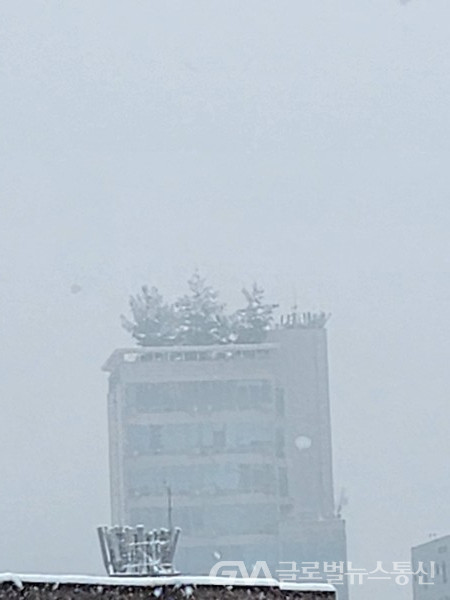 (사진촬영 : 글로벌뉴스통신, 송영기 기자) 멀리 보이는 빌딩 위 나무숲에도 눈 내려 역시 아련하다