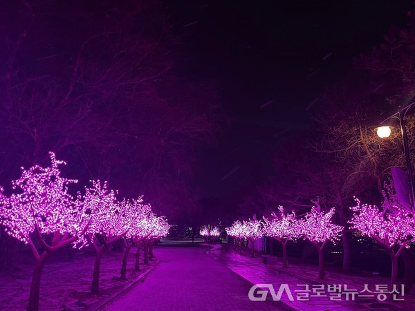 (사진제공:제천문화재단) 한파 녹일 의림지 벚꽃스퀘어 광장 조성