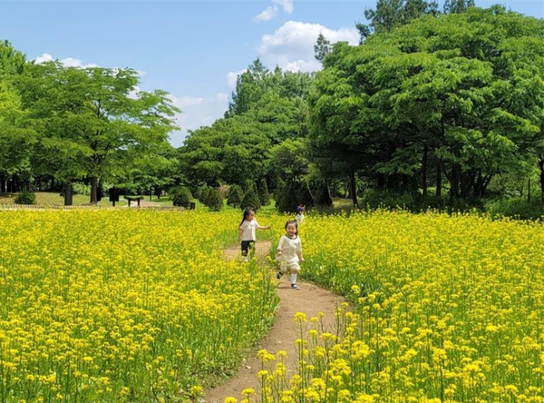 (사진제공: 서울시)유아숲체험원 활동 사진(수목 사이로 산책하며 계절을 즐기는 모습, 서부공원여가센터)