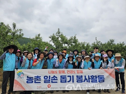 (사진제공:안동시) 국민건강보험공단 경북 북부권역 지사 농번기 일손돕기