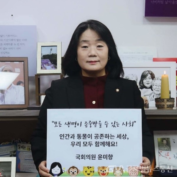(사진:윤미향 의원실)윤미향 국회의원