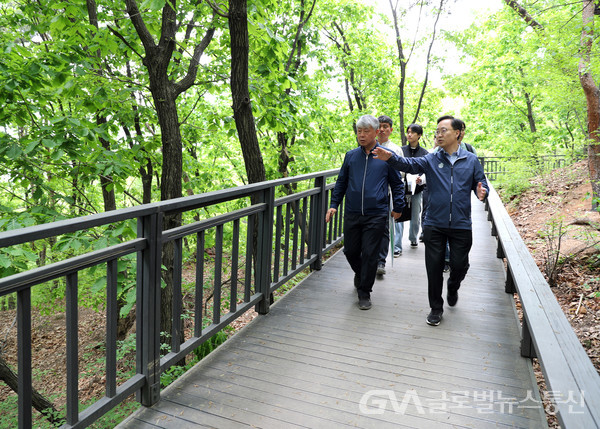 (사진제공:금천구) 호암산 숲.