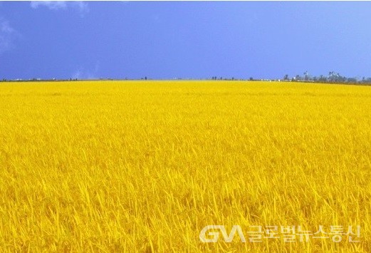 (사진 : 김처뇨시) 김천 최고밥맛을 책임질 '영호진미'