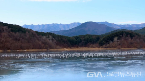 (사진:이현용숲해설가) 갈매기때의 모습, 백두대간의 모습이 너무 아름답다 